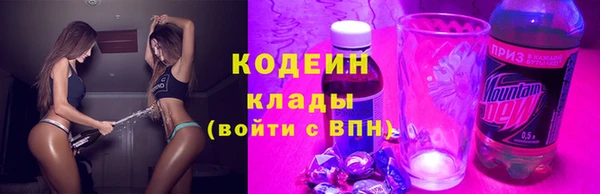 СК Бронницы