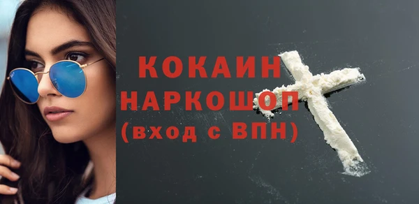 индика Видное