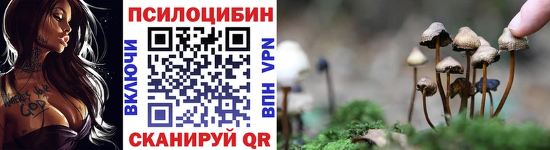 Галлюциногенные грибы MAGIC MUSHROOMS  как найти закладки  Бугуруслан 